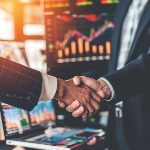 Business Partnerships